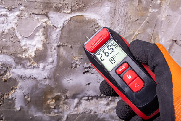 Best Fast Mold Removal  in Schoolcraft, MI