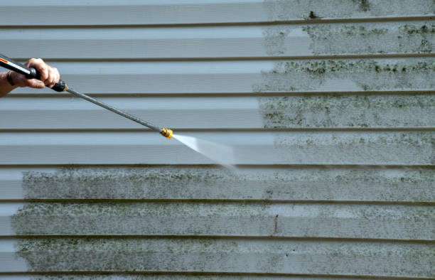 Best Professional Mold Removal  in Schoolcraft, MI