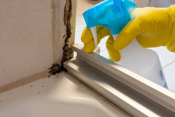 Best Mold Testing  in Schoolcraft, MI
