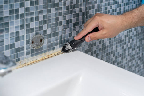 Best Emergency Mold Removal  in Schoolcraft, MI