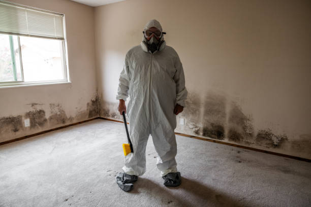 Best Commercial Mold Removal  in Schoolcraft, MI